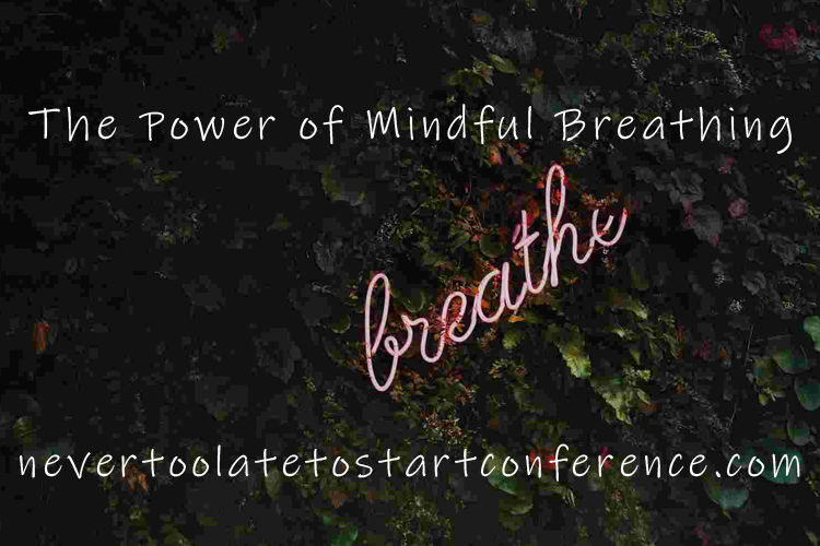 Well-being Expert Sandy Abrams On The Power Of Mindful Breathing 